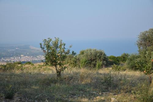 Φυσικό τοπίο κοντά σε αυτή η παραθεριστική κατοικία