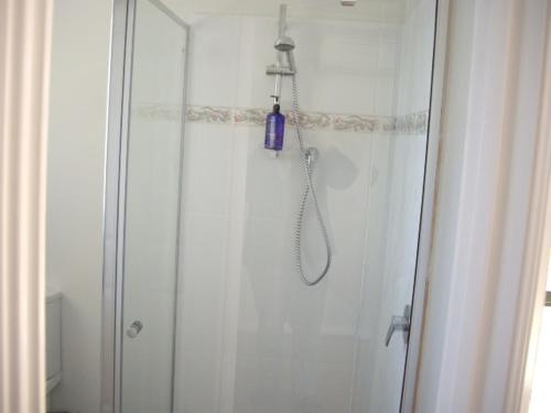 a shower with a blue bottle on the wall at Ruby Rose in Simpson