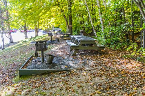 a group of picnic tables in a park with trees at Village of Loon Mountain in Lincoln