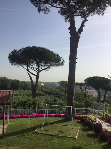 a park with a tree and a swing at Zia Bi Bed and Breakfast in Naples