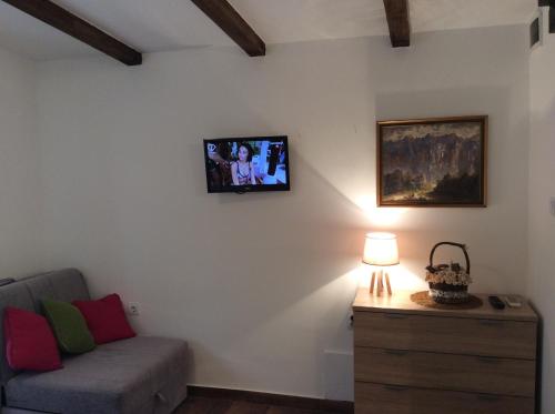 a living room with a couch and a tv on the wall at Apartments Bajkovic in Kotor