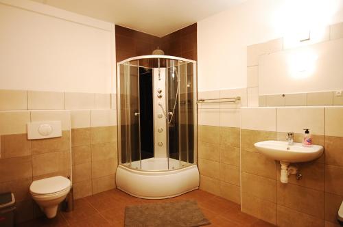 索波特的住宿－Hipnotic B&B，带淋浴、卫生间和盥洗盆的浴室