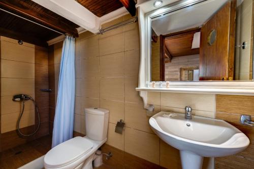 a bathroom with a toilet and a sink and a mirror at Nefeli Homes - Adults Only in Imerovigli