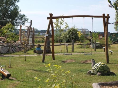a tortoise laying on the grass in a playground at Landhotel zum Honigdieb in Ribnitz-Damgarten