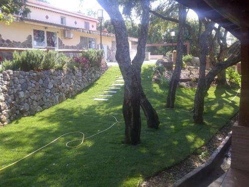 a yard with trees and a stone wall at La Quercia in Arbus