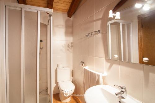een badkamer met een toilet, een wastafel en een douche bij Casa Rural Eleizondo Haundia in Itziar