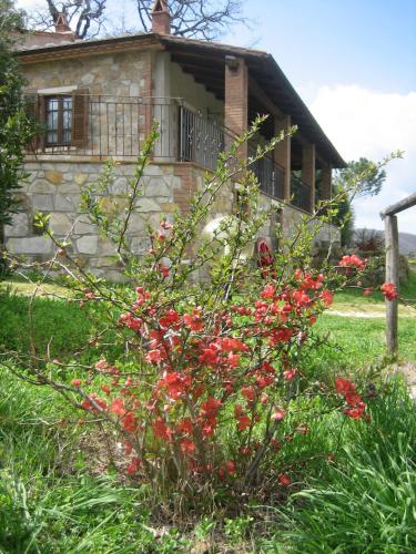 Zahrada ubytování Agriturismo Casa Fibbianello