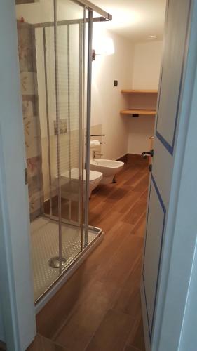 a bathroom with a glass shower with a toilet at Rocca d'Anfo B&B-Apartments Lake View in Rocca dʼAnfo