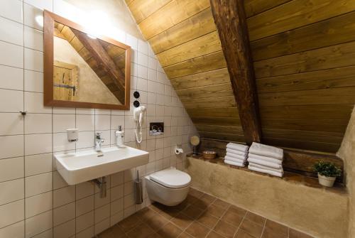 a bathroom with a white toilet and a sink at Aparthotel & Wellness Knížecí cesta in Horní Planá
