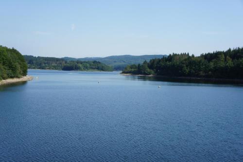 a view of a large lake with trees at La Lauze in Vielmur-sur-Agout