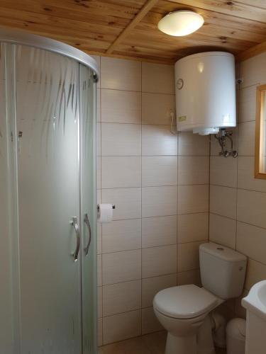 a bathroom with a toilet and a shower and a sink at Domki Letniskowe Poranek in Jezierzany