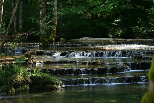 a group of falls in a river with trees at Castel Damandre - Demeures & Châteaux in Arbois