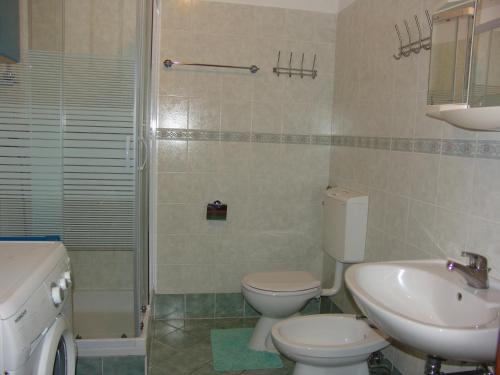 La salle de bains est pourvue de toilettes, d'un lavabo et d'une douche. dans l'établissement Apartment Ines, à Medulin