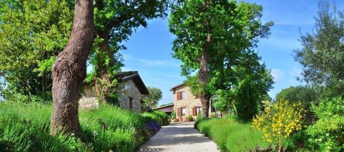 サン・セヴェリーノ・マルケにあるCasale il Cerquetoのギャラリーの写真