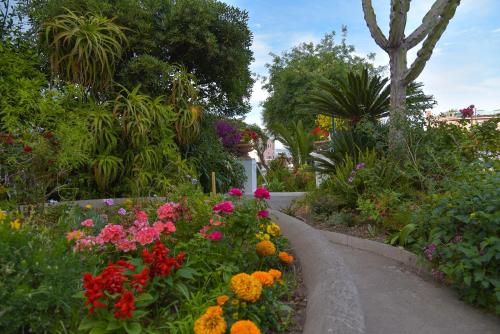 Giardino di Villa Panoramica - Ischia Ponte