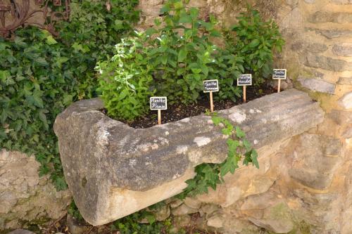 a rock planter with plants in it at Hôtel La Bastide de Vaison in Vaison-la-Romaine