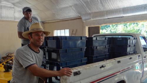 two men standing in the back of a truck with blue containers at Posada Cavieres Wine Farm in Maipú