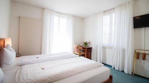 Gallery image of Hotel Schloss Romanshorn in Romanshorn