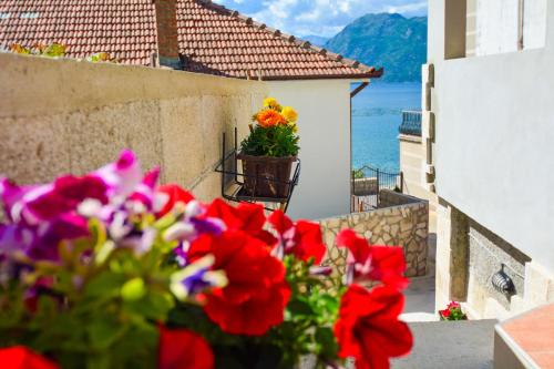 a pot of flowers on the side of a building at Apartment The Sea Coast in Kotor