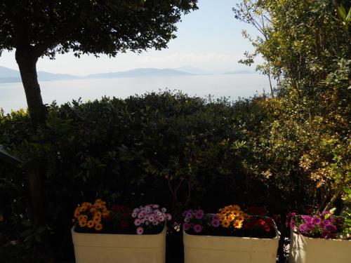a group of flowers in pots in front of the water at Villa Electra in Chorto