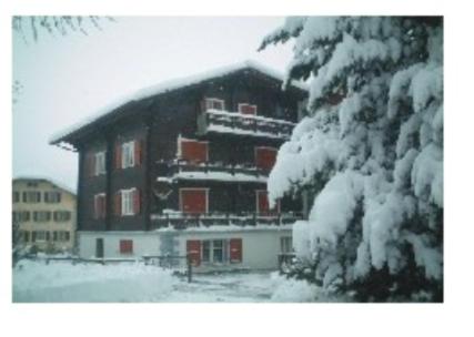 un grand bâtiment recouvert de neige à côté d'un arbre dans l'établissement Apartment Enzian, à Saas-Almagell