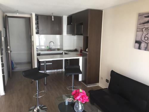 a small apartment with a kitchen and a living room at Departamento Vergara in Santiago