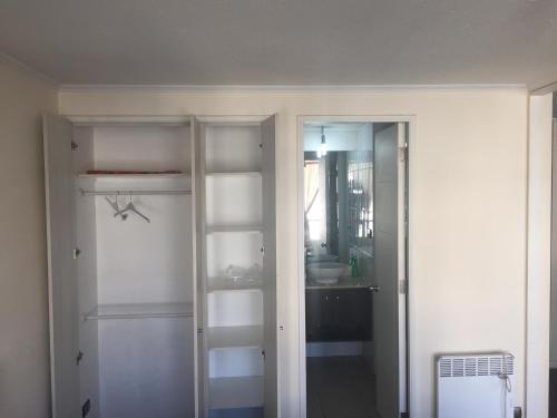 聖地亞哥的住宿－Departamento Vergara，浴室设有2个玻璃架和水槽