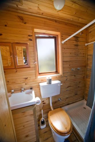 a bathroom with a sink and a toilet and a window at Cape Oasis Guesthouse in Bloubergstrand