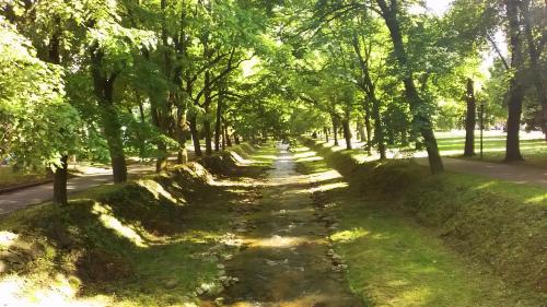 Paisaje cerca de este apartamento