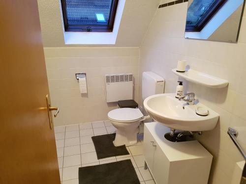 Koupelna v ubytování Apartment Am Sternberg 236