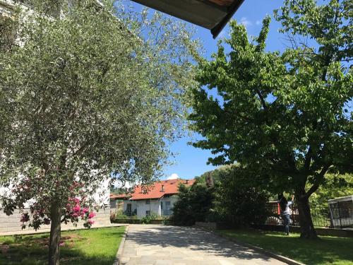 ein Haus mit zwei Bäumen im Hof in der Unterkunft Da Felicia in Cossato