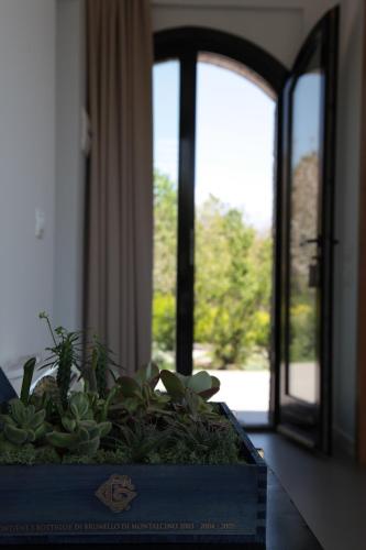 a blue box with plants in front of a window at Talè Restaurant & Suite in Piedimonte Etneo