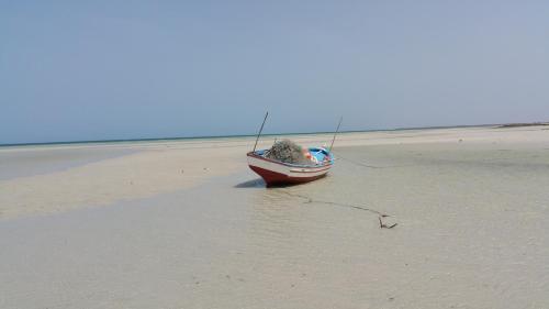 a small boat sitting on a sandy beach at Dar Chick Yahia Ile De Djerba in Mezrane