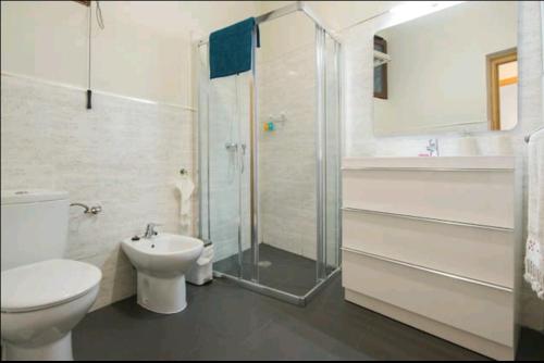 uma casa de banho com um WC, um chuveiro e um lavatório. em Apartamento Tres Culturas em Toledo