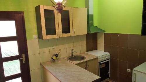 una piccola cucina con lavandino e piano cottura di Apartment Roxana a Novi Sad