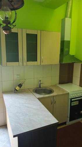 Cuina o zona de cuina de Apartment Roxana
