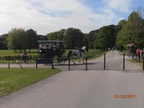 a horse drawn carriage in a park with people at Larkfield House B&B, Ballycasheen Kerry V93 WD51 in Killarney