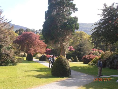 a group of people walking down a path in a park at Larkfield House B&B, Ballycasheen Kerry V93 WD51 in Killarney