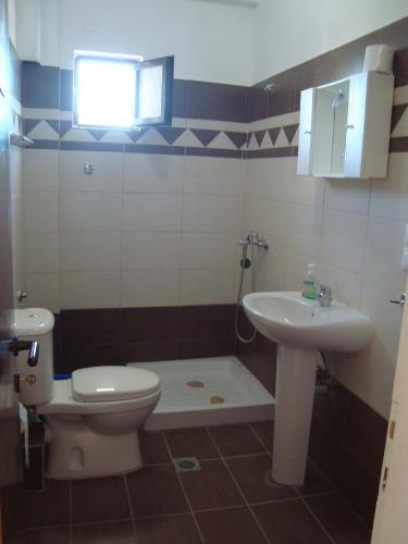 a bathroom with a toilet and a sink at Olga Apartments in Agios Georgios