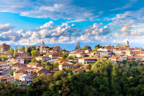 a town on a hill with houses at Hotel Martinichi in Sighnaghi