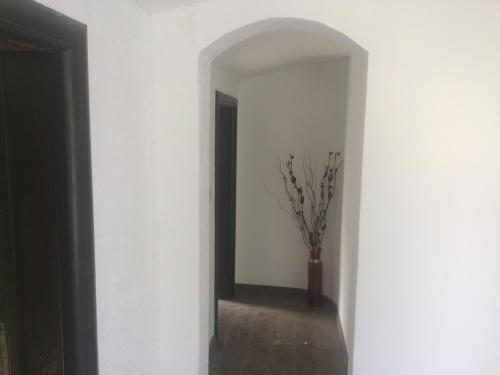 Фотография из галереи Apartments OldTown в Подгорице