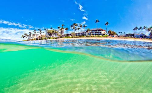 an island in the ocean with palm trees at The Hale Pau Hana in Kihei
