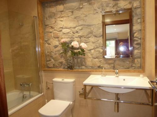 a bathroom with a toilet and a sink and a mirror at Apartamentos Arcos del Esva in Luarca