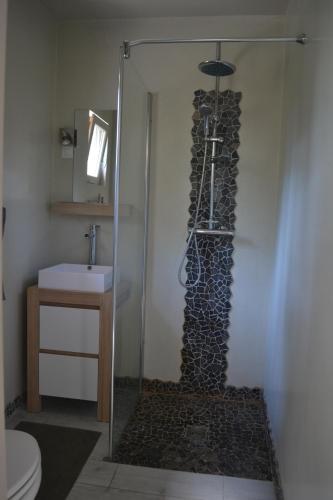 une douche avec un mur de roche à côté d'un lavabo dans l'établissement La Licorne, à Lamarche-sur-Saône