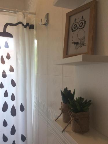 Tiny Studio Big living