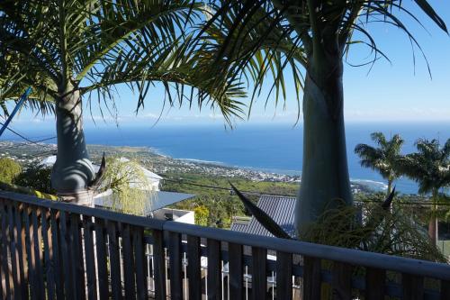 a balcony with palm trees and the ocean at Le Bleuet in Saint-Leu