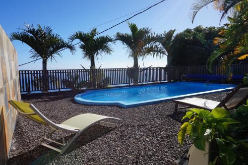a swimming pool in a yard with chairs and palm trees at Le Bleuet in Saint-Leu