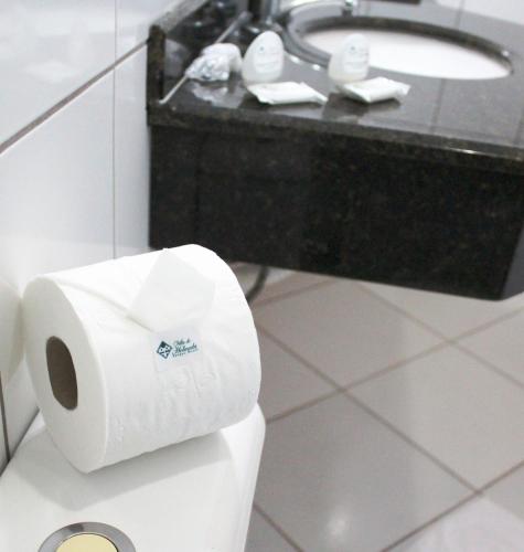 a toilet with a roll of toilet paper next to a sink at Villa de Holanda Parque Hotel in Holambra
