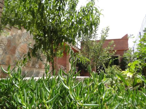 Gallery image of Riad Aslda in Asni