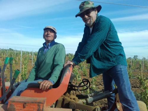 two men are standing on top of a tractor at Agriturismo da Remo in Magliano in Toscana